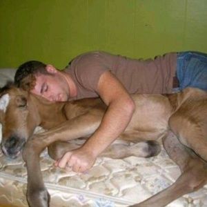 Meet your Posher, Aaron